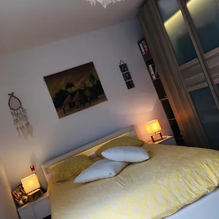 Agreable T2 A Au Pied Du Tram Daire