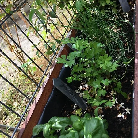 Agreable T2 A Au Pied Du Tram Mérignac