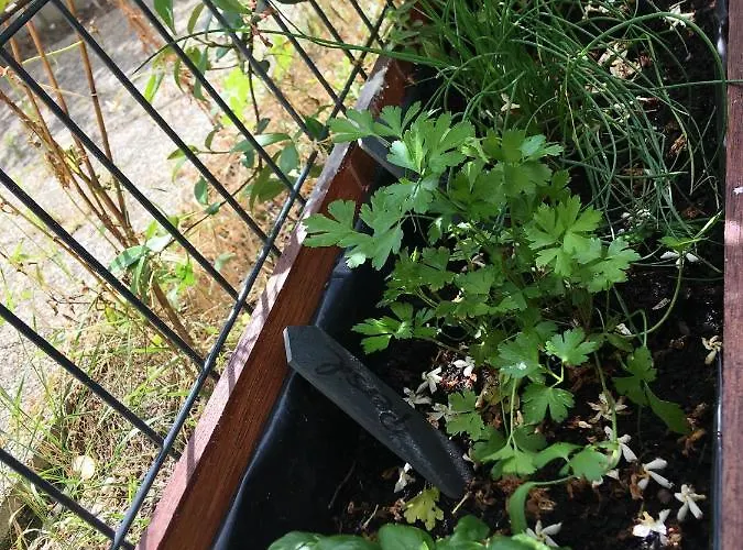 Agreable T2 A Au Pied Du Tram Mérignac