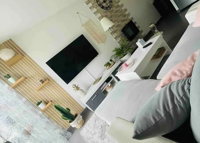 Agreable T2 A Au Pied Du Tram